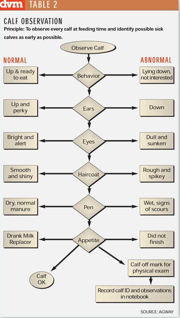 Flow Charts Help Staff Execute Tasks Properly 1050