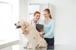 Top Veterinary News of 2025