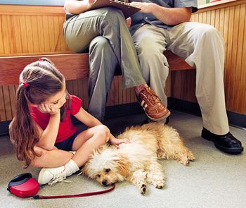 veterinary_girl_sick_dog_78035073_getty_450.jpg
