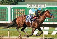 Paynter_HaskellInv_003-793278-1384155957606.jpg