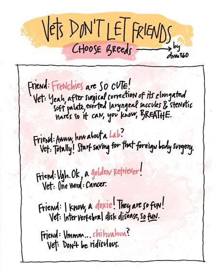 veterinary-vets-dont-let-friends-illustration-colored_450.jpg