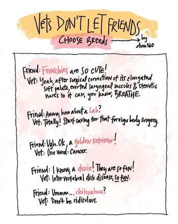 veterinary-vets-dont-let-friends-illustration-colored_450.jpg