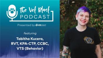 Let's chat behavior