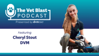 Chasing conservation: Forging a path to a career in zoo medicine