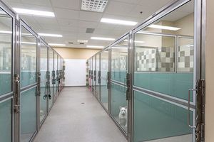 2018_12_NorthpointeVeterinaryHospital_BoardingRunWard1-450.jpg