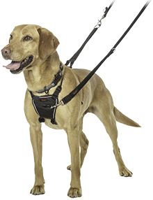 veterinary-companyofanimals-NoPullHarness.png