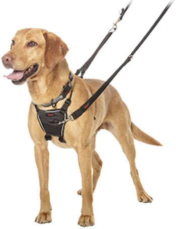 veterinary-companyofanimals-NoPullHarness.png