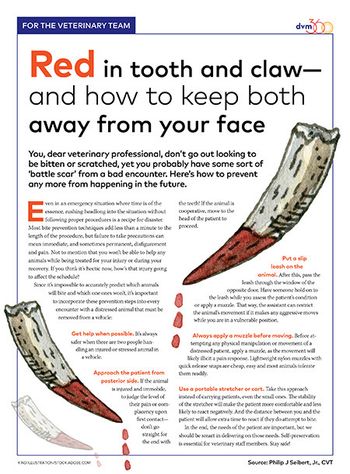 dvm360handout-bite-prevention-450.jpg