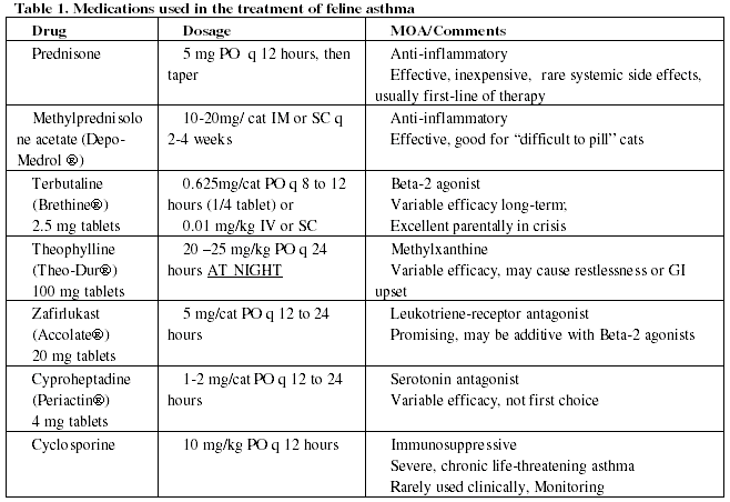 Feline asthma (Proceedings)