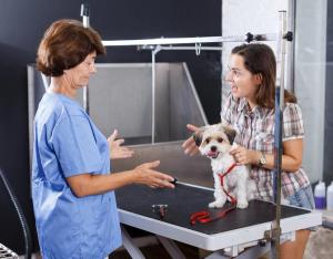 How should your practice respond to client complaints?