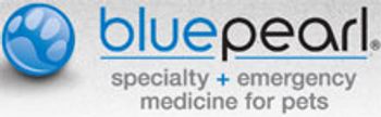 Blue_pearl_Logo.jpg