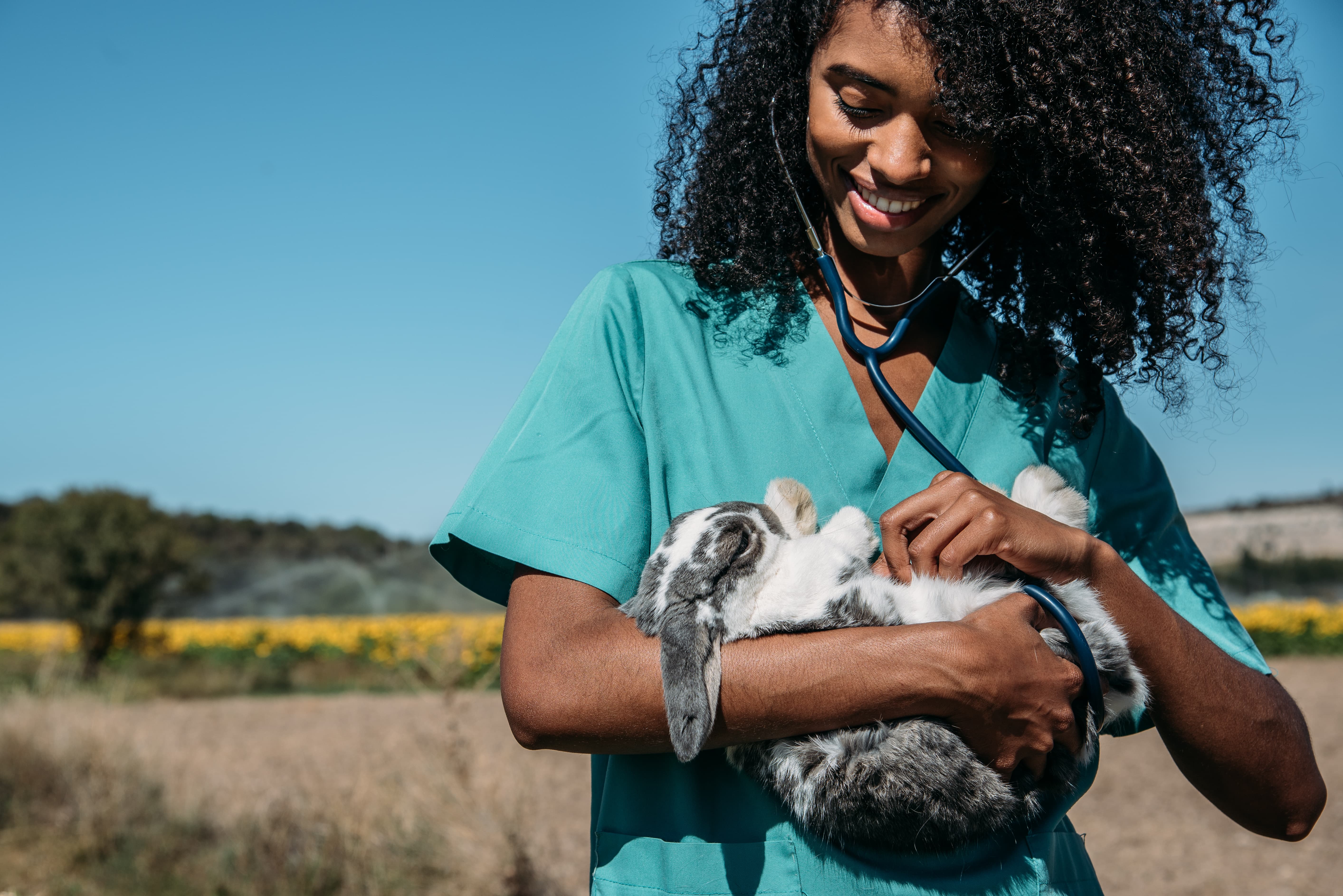 BluePearl Specialty and Emergency Pet Hospital partners with the National Association of Black Veterinarians to improve diversity in veterinary medicine