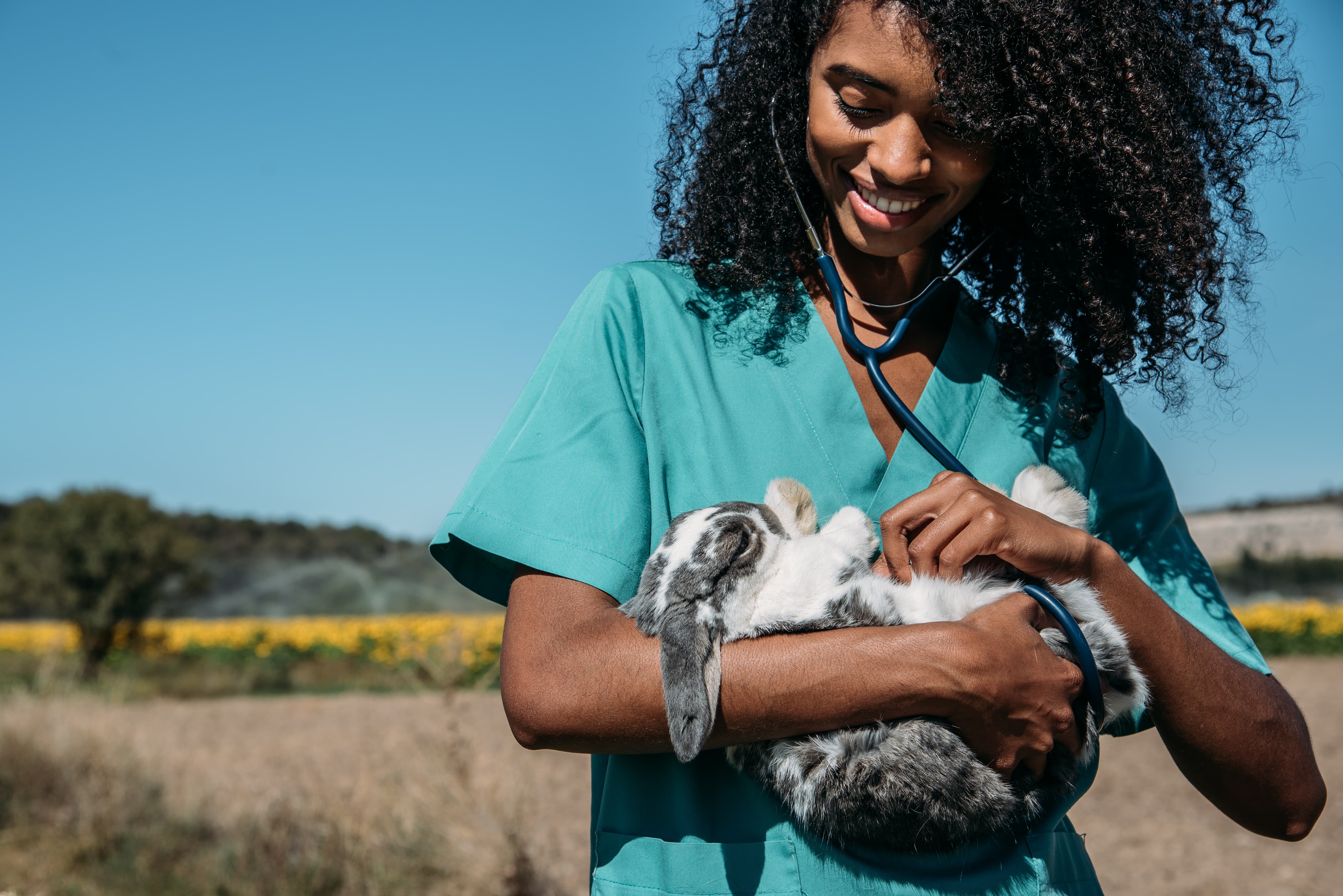 BluePearl Specialty and Emergency Pet Hospital companions with the Nationwide Affiliation of Black Veterinarians to enhance variety in veterinary medication