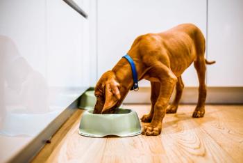 Photo: Jnis/Adobe Stock