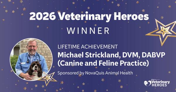 Meet the 2026 Veterinary Heroes: Michael Strickland, DVM, DAVBP (Canine & Feline Practice)