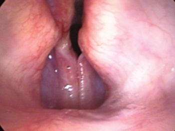 veterinary_SurgStat0811_fig1A_t-732417-1384184095428.jpg