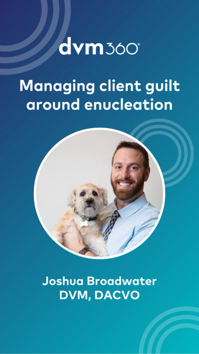 Managing client guilt around enucleation