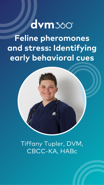 Feline pheromones and stress: Identifying early behavioral cues