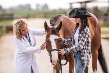 Veterinarian-client relationship
