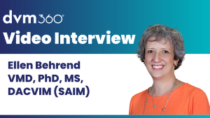Expert Interviews