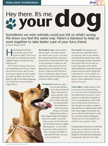 dogs-brain-color-final-450.jpg