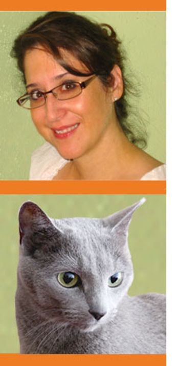 veterianry_cat_case_study-658663-1384328198458.jpg