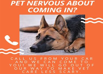 veterinary_marketing_hacks_450.jpg