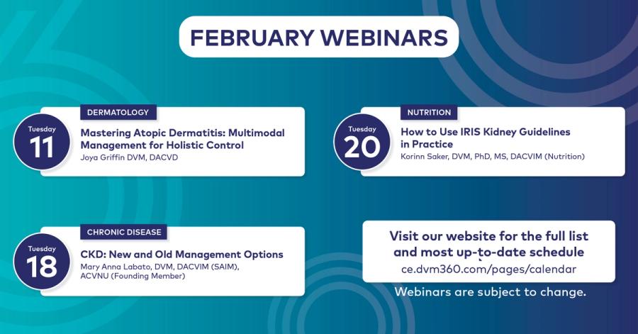 February Webinars