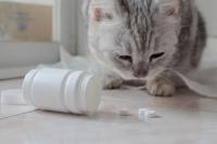 Pet Poison Helpline reports rise in Apoquel calls