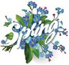 springthumb.jpg