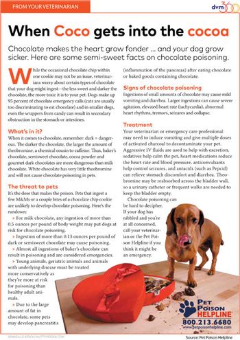 chocolate-poisoning-handout-450.jpg