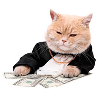 veterinary-Red-cat-sitting-on-the-dollar,-Christmas_220px_119766415.jpg