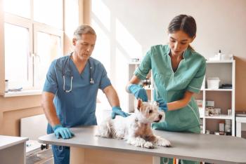 Veterinary technicians