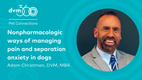 Nonpharmacologic ways of managing pain and separation anxiety in dogs