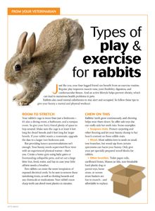 Client handout: Play and exercise for your rabbit