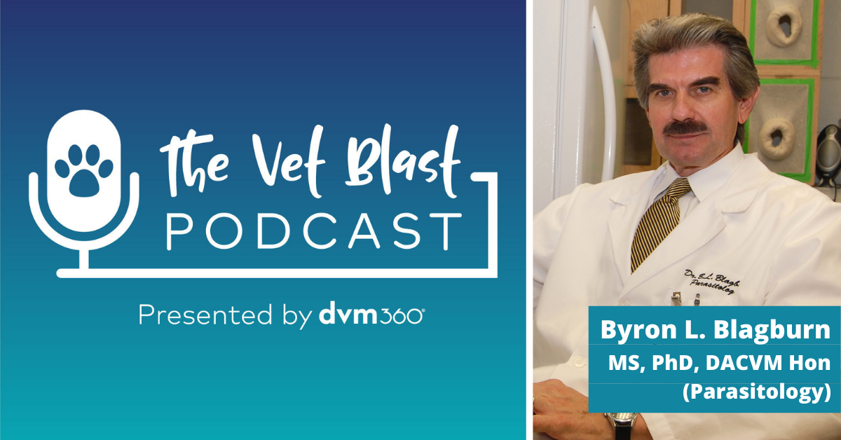 The Vet Blast Podcast Episode 84