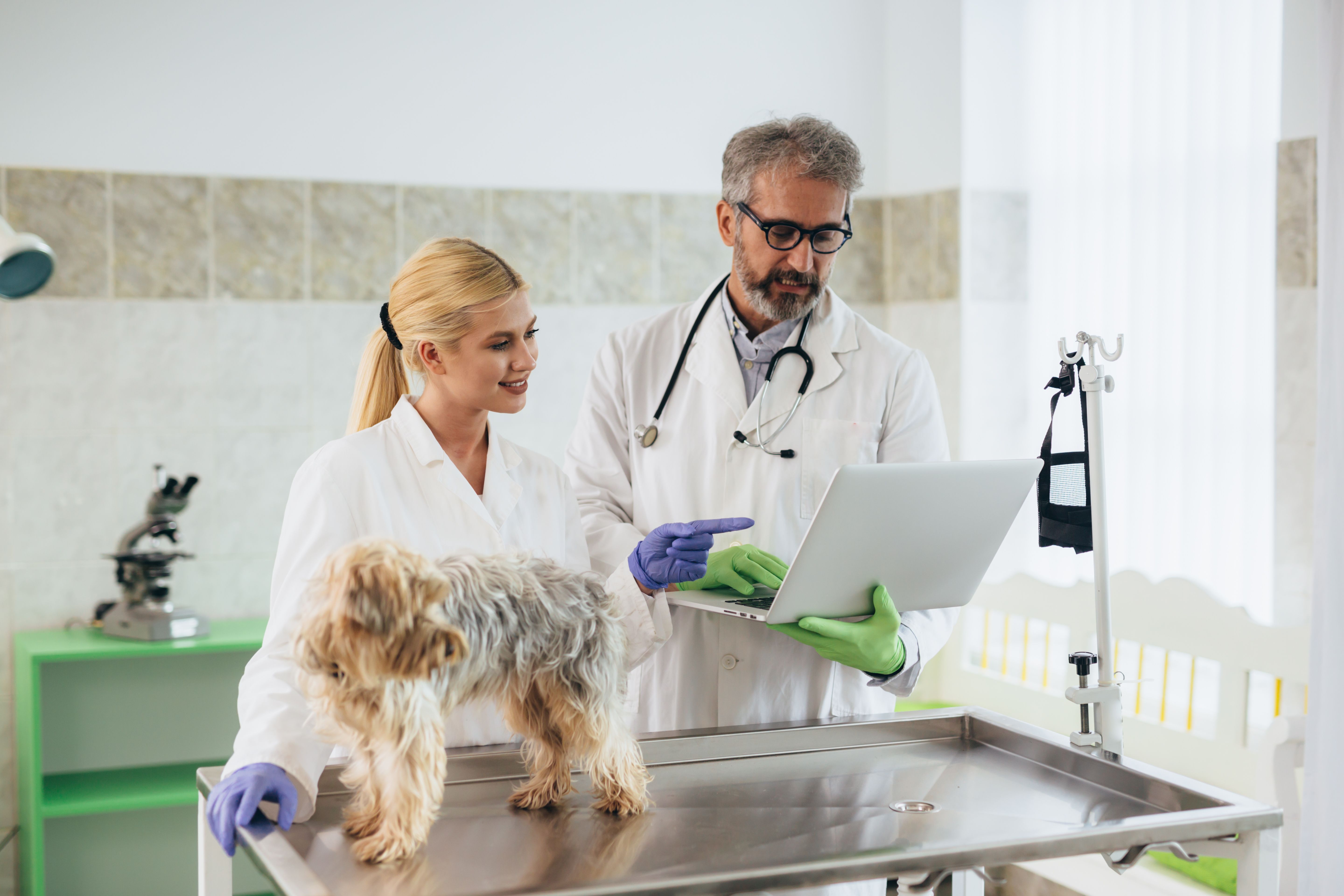 Commentary:The impending demise of the small veterinary practice-dvm360