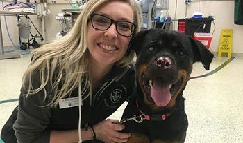 veterinary-stella-happy-team-450px.jpg