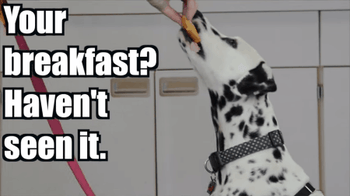 bagel.gif