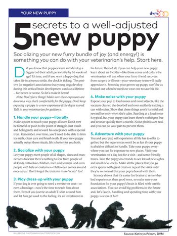 veterinary-handout-fl-new-puppy-socialization-450px-1.jpg