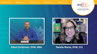 The practical canine allergic dermatitis workup