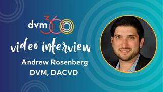 Overcoming challenges with diagnosing and treating cat allergies