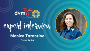 Insights into geriatric medicine and more