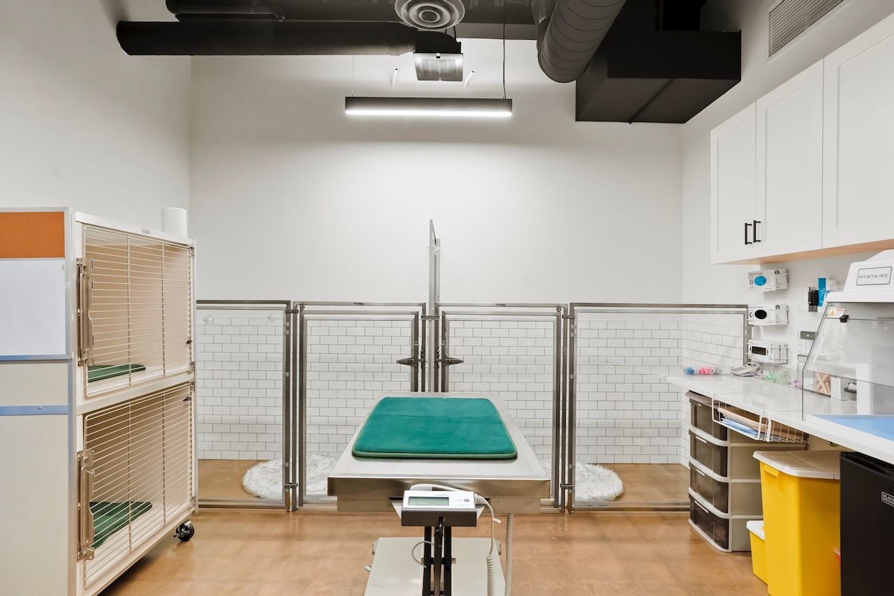 Treeline Veterinary Cancer Care
