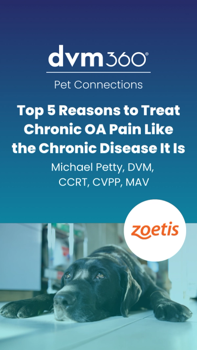 Top 5 Reasons To Treat Chronic OA Pain Like The Chronic Disease It Is