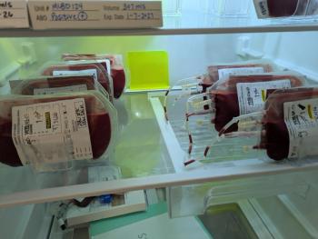 When fur hits the fan: Building a veterinary blood bank that saves lives
