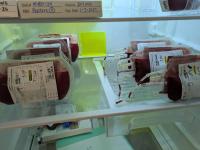 When the fur hits the fan: Building a veterinary blood bank that saves lives