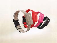 Products+Services360: Online veterinary clinical pathology program, custom orthopedic dog shoes, & more