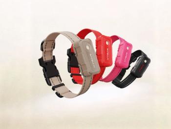 Products+Services360: Online veterinary clinical pathology program, custom orthopedic dog shoes, & more