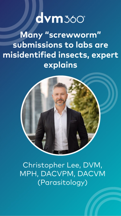 Many “screwworm” submissions to labs are misidentified insects, expert explains